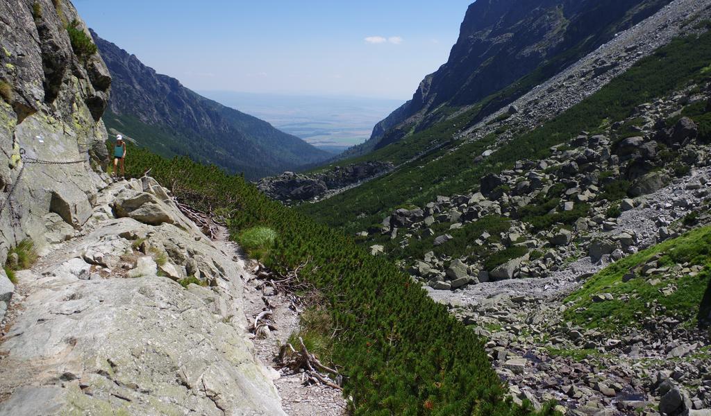 Studio Livia Apartman Vysoké Tatry Kültér fotó