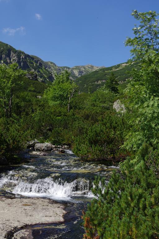 Studio Livia Vysoké Tatry Kültér fotó
