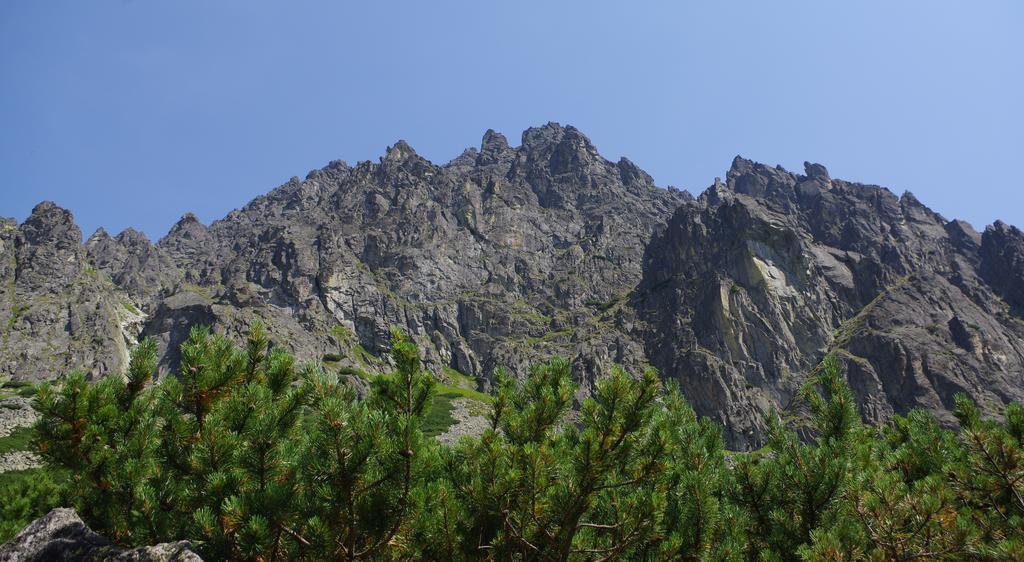 Studio Livia Vysoké Tatry Kültér fotó
