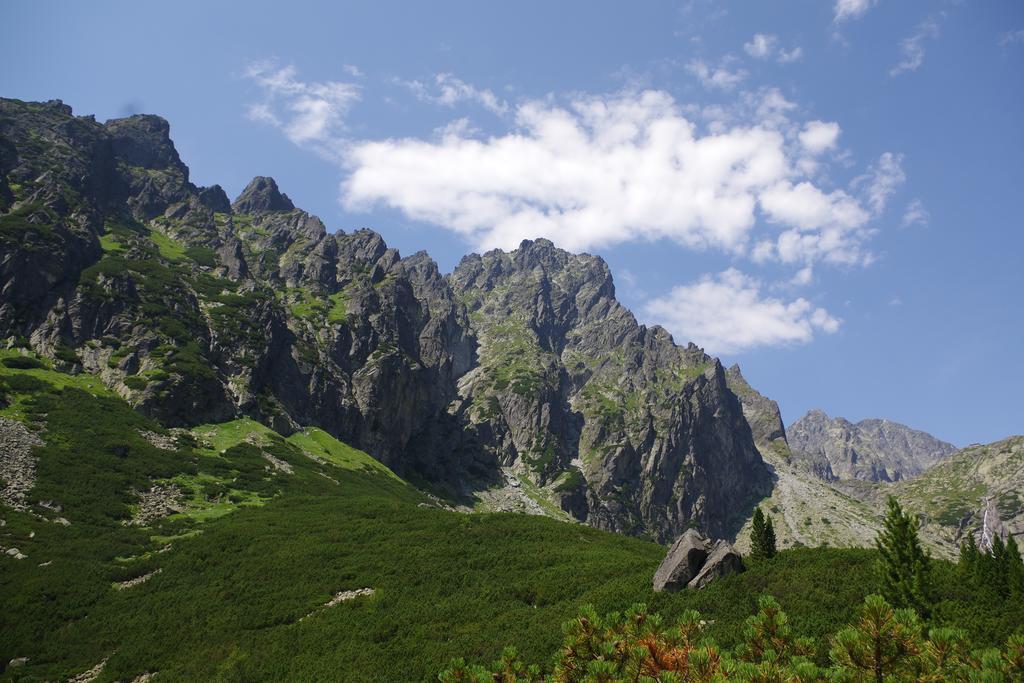 Studio Livia Apartman Vysoké Tatry Kültér fotó